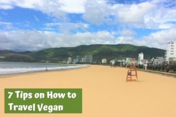 Travel vegan