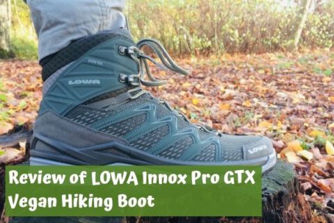 LOWA Innox Pro GTX