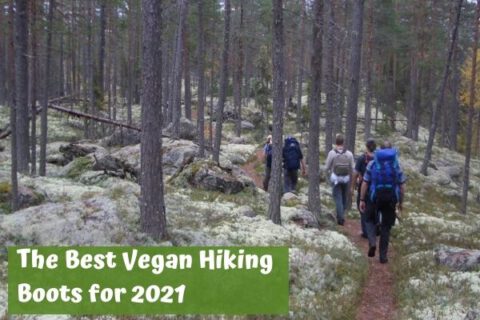 Vegan hiking boots